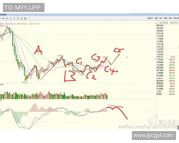 杭州网球队防守策略深度分析与战术解读