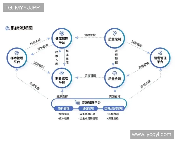 杭州网球队进攻革新之路探索与实践全景解析