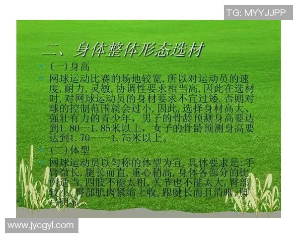 杭州网球队耐力训练揭秘提升竞技水平的关键因素分析