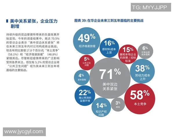 加维在球队中的重要性与未来发展潜力分析